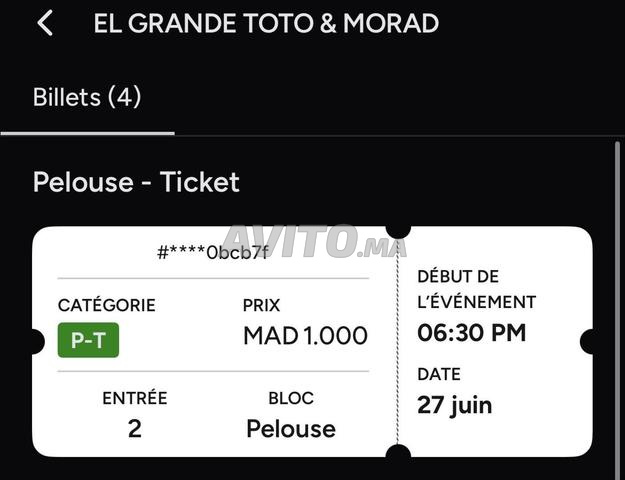 Ticket toto-morad pelouse - 2