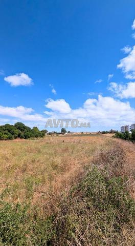 Terrain de 11260 m² à Dar Bouazza