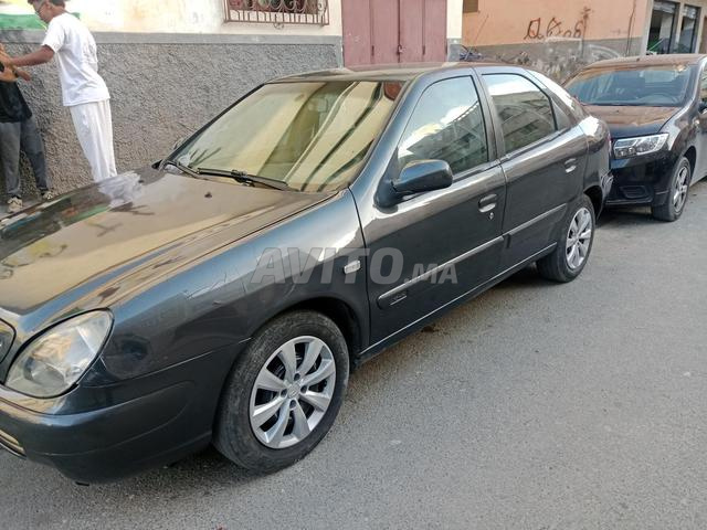 قصاب جيد، جميع أنواع الخيول، عمرها - 2