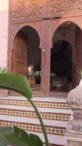 Villa riad location journalière