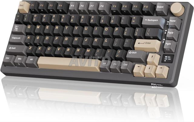 Clavier Royal Kludge R75 RGB ISO ES - 2
