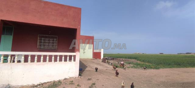 مزرعة للبيع - 2