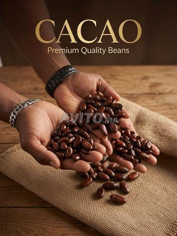 Cacao et Noix de cajou