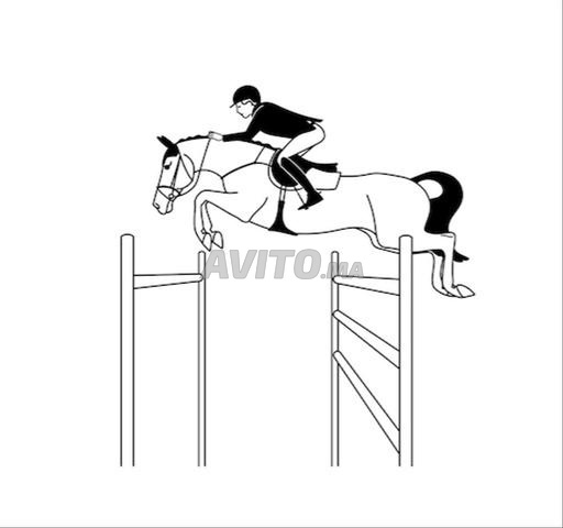 Cours d'équitation - 2