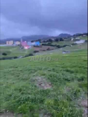 عليين قرب شاطئ الميناء - 2