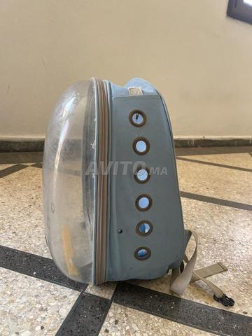 Sac à dos pour chat 🐈 - 2