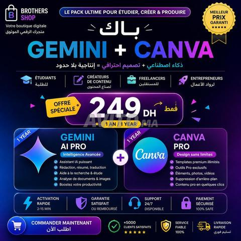 Gemini AI Pro