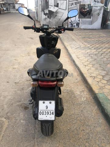 Stunt modèle 2015 - 2