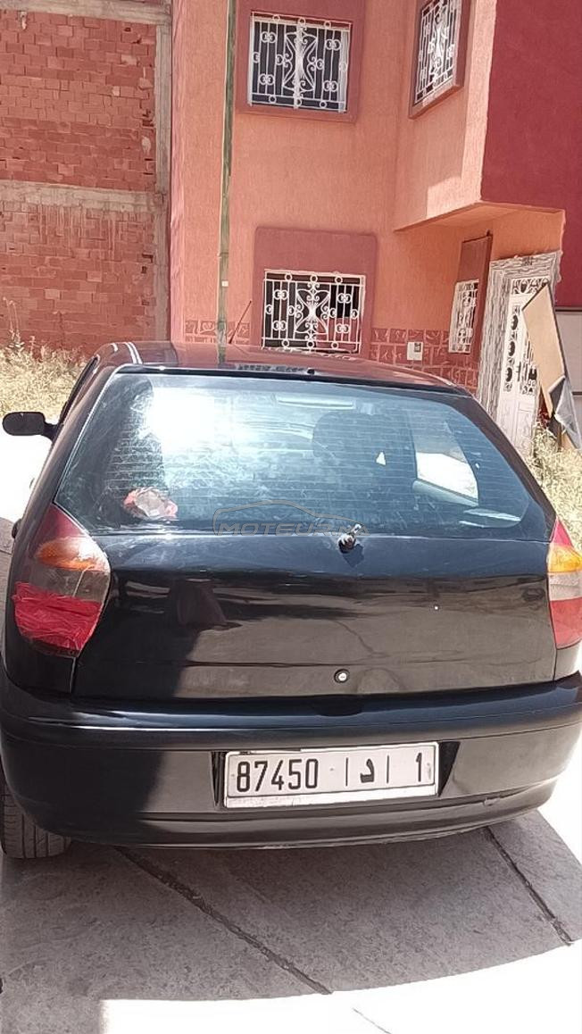 باليو 2005 ديوانة2013