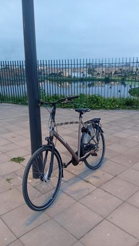 Gazelle C7 Chamonix - 2