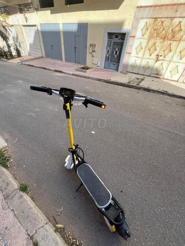 Ducati Scrambler iconique 2026 - 2