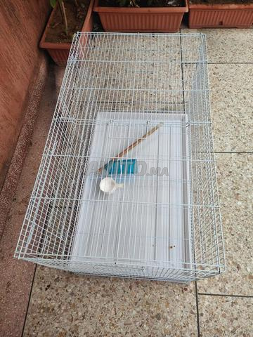 Cage à oiseaux. Neuf - 2