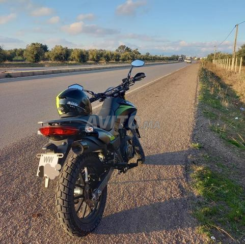 QJ TX 200 cc - 2