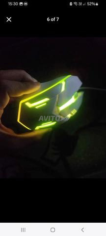Souris gamer syrienne - 2