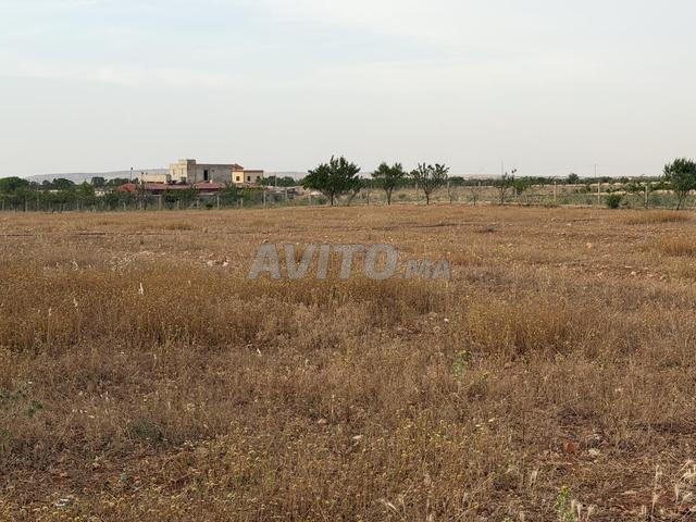 1 hectare à vendre - 2