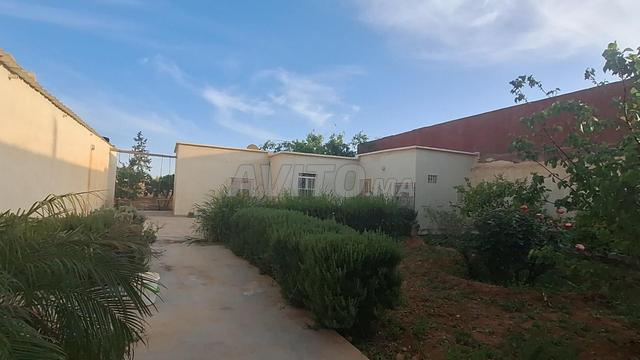 مزرعة مع سكن وأرض زراعية للبيع - 2