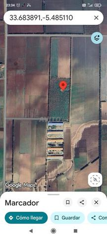 Ain Harrouda 30 mètres sur la route - 2