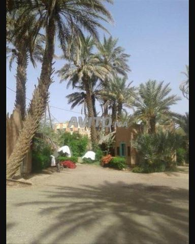 نزل بمساحة 3000 متر مربع مسجل - 2
