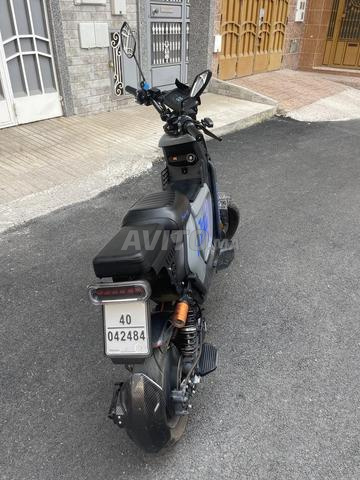 Cooper Touring Pro 2025 - 2