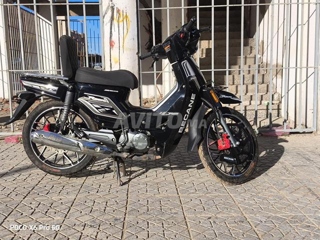 module 2025/12 - 2