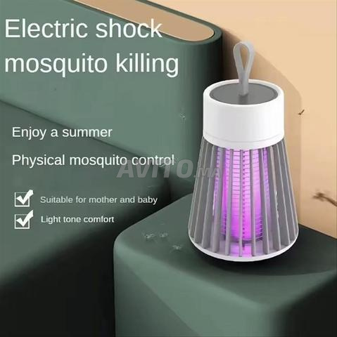 Insecticide - 2