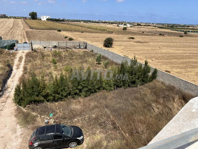 Terrain semi fini 8575m2 Hawta - 2