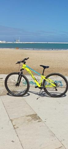 Vélo ATRACTOR roue 29 - 2