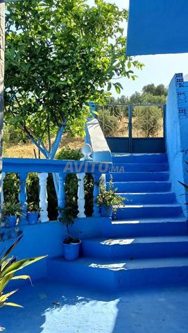 شقة للكراء اليومي بإطلالة رائعة بشفشاون - 2