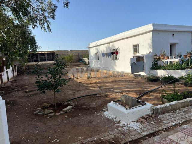 مزرعة مرخصة - 2