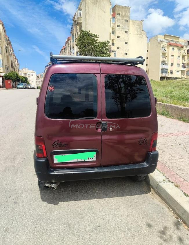بتنير شينويا نقيا