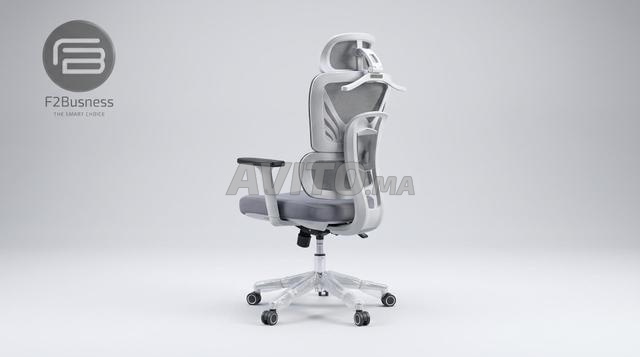 Chaise de Bureau Ergonomique