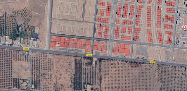 🏡 Deux terrains de 600 m² à vendre à El Azzouzia - 2