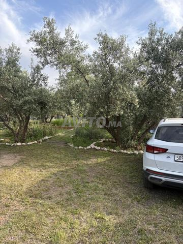 Super lot à vendre à 35 minutes de Marrakech