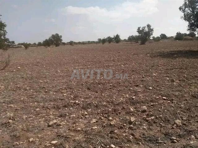 أرض للبيع مساحتها 2700 متر مربع