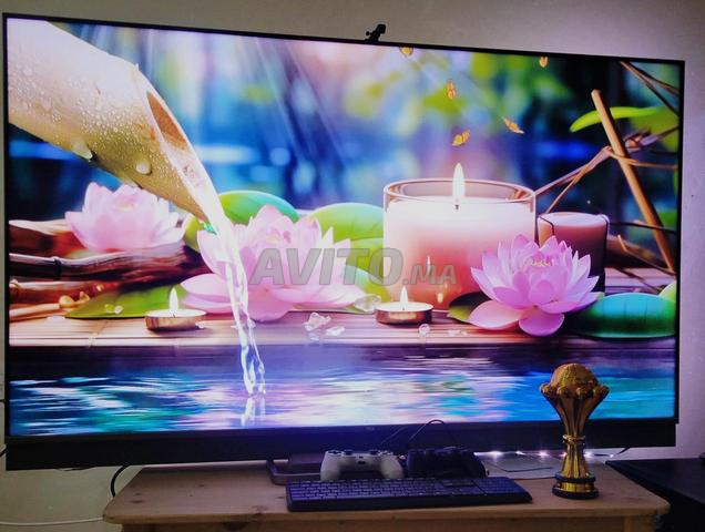 TV TCL 65 pouces 120 Hz - 2