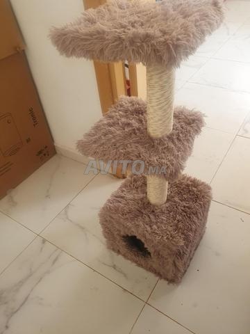 بيت قطط رائع ومريح - 2