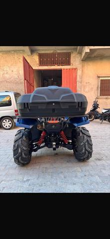 Grizzly 700 - 2