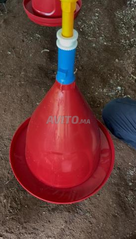 شرّابة أوتوماتيكية Abreuvoir automatique - 2