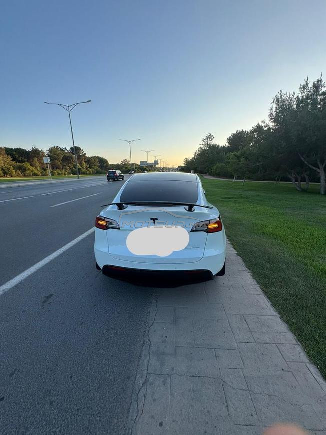 TESLA Model Y 2021 TEXAS USA 