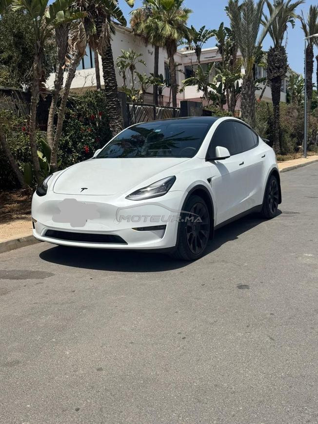 TESLA Model Y 2021 TEXAS USA 