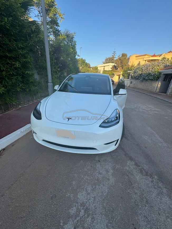 TESLA Model Y 2021 TEXAS USA 