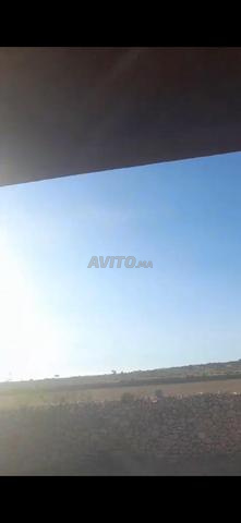 بيع قطعة أرضية فلاحية محفظة بإقليم أسفي - 2