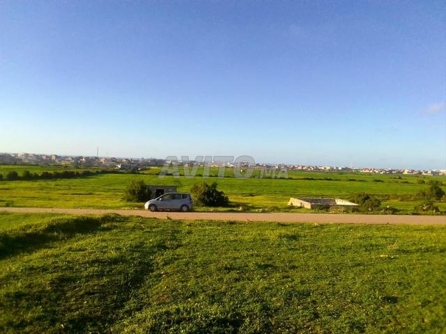 Terrain agricole à proximité de Sidi Bouzid - 2