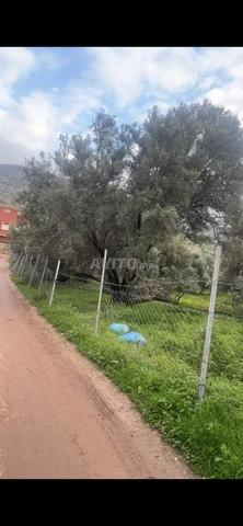 Terrain à vendre 100m Friate près de la mosquée Aska 📍