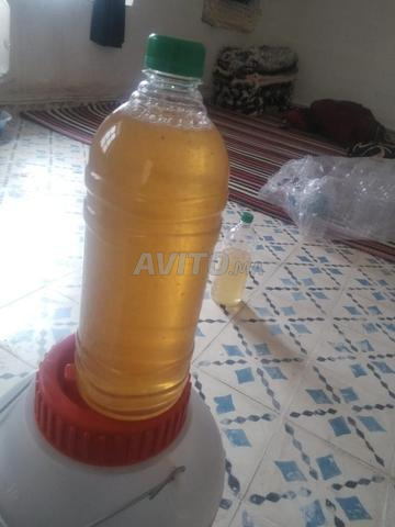 عسل أزير هو أحد أنواع العسل الطبيعي المميزة