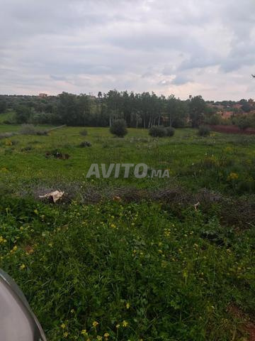 للبيع – أرض مسجلة بمساحة 1700 متر مربع للفيلات
