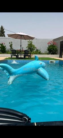 Maison avec piscine à la campagne 26km de Safi