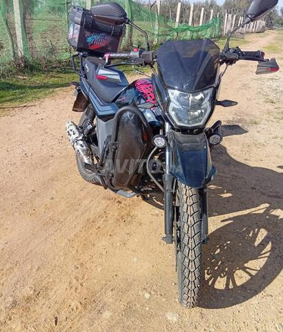 Moto Cobra Cross, moteur 140, bien dans les papiers 49 - 2
