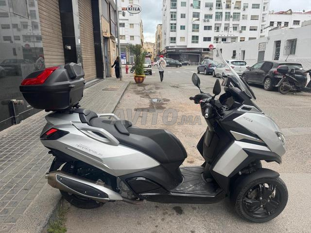 Peugeot tricycle - 2