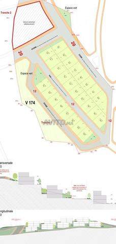 Lotissement Villa 300 m² City Center Tanger - 2